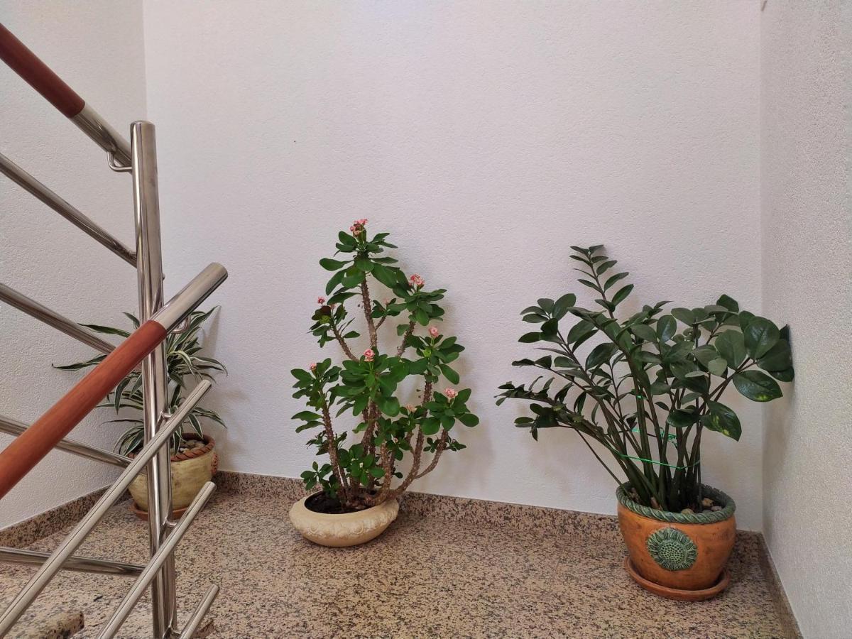 Apartmani Skejic 스플리트 외부 사진